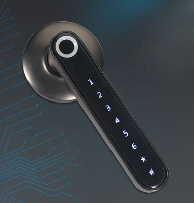 Keyless APP Digital Fingerprint Smart Door Lock EURO Wide Standard Biometric Wireless Password Login