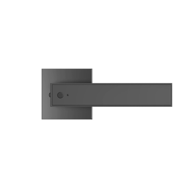 Up to 200 Groups Digital Tuya APP Aluminum Fingerprint Key Backup TT-Lock Door Remote Smart Lever Lock for Bedroom