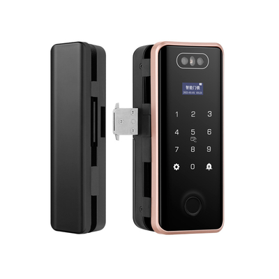 New Face 50 Fingerprint 100 Face Recognition 3D Face Recognition Card+Password 250 Digital Electronic Intelligent Keyless Security Door Lock/Wifi Auto Tuya System